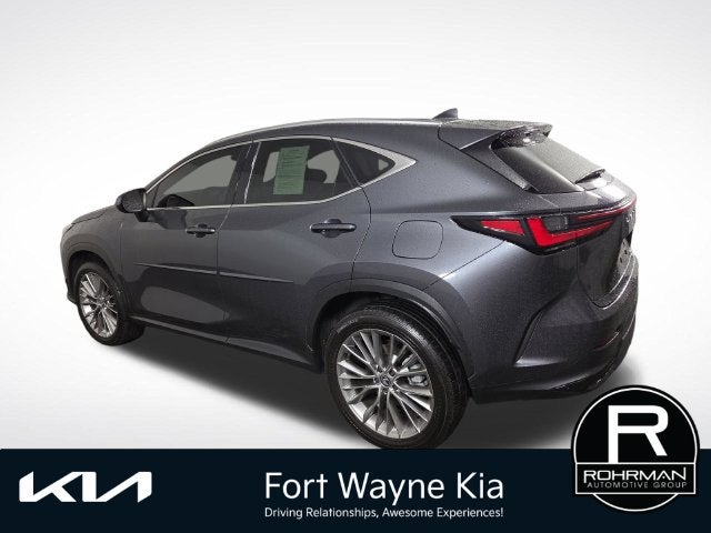 2025 Lexus NX 350h Premium