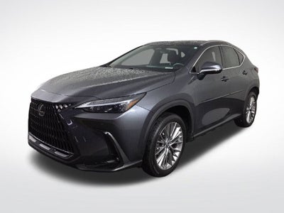 2025 Lexus NX 350h Premium