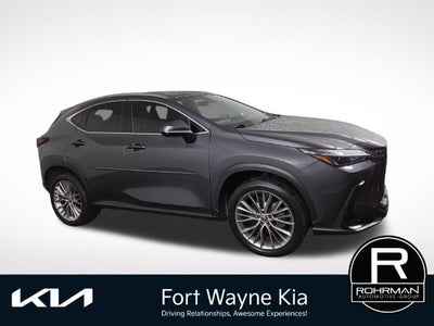 2025 Lexus NX 350h Premium