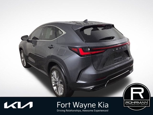 2025 Lexus NX 350h Premium