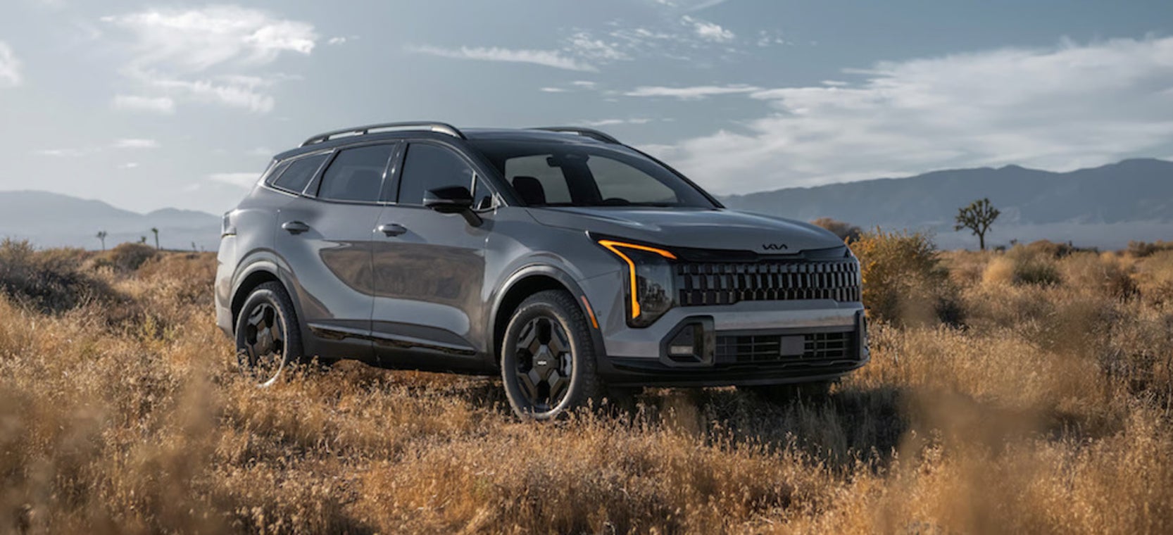 A side view of a dark gray 2026 Kia Sportage SUV parked in a field of tall, dry grass