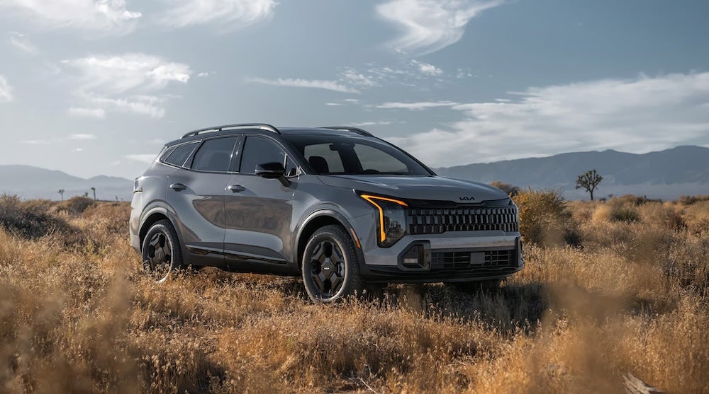 A gray 2026 Kia Sportage SUV parked in a field of dry grass